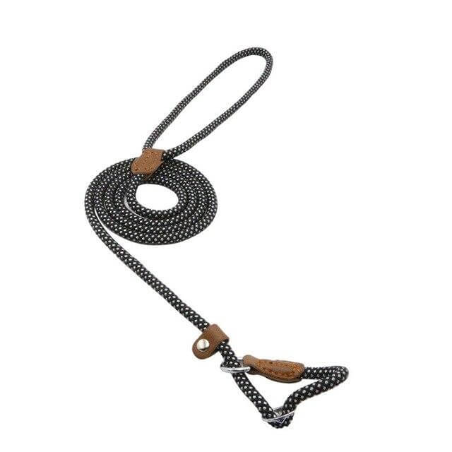 Durable and stylish Nylon Pup Set dog leash with polka dots and brown leather accents.
