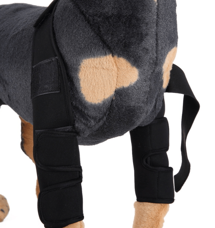 Dog knee brace for injury recovery providing support and protection for pet's legs during healing process.