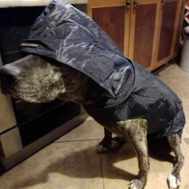 Pet Raincoat for Dogs & Cats