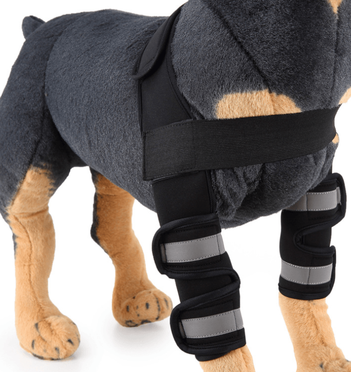 Dog knee brace for injury recovery shown on a plush toy dog, featuring a supportive design with adjustable straps.