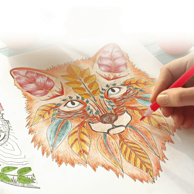 Colored Pencil Set for Kids being used to color a beautiful fox illustration with vibrant colors.