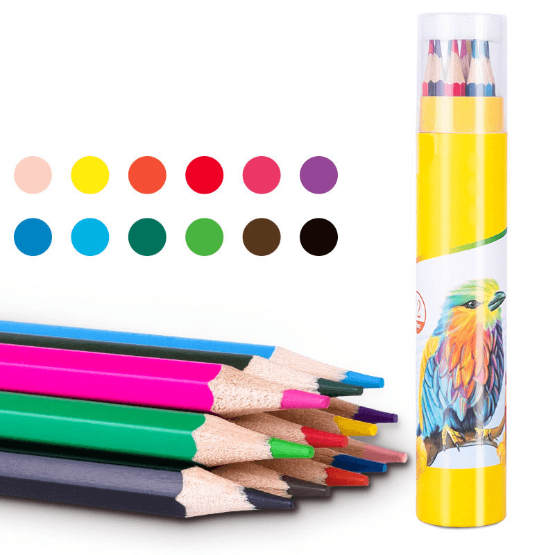 Colored Pencil Set for Kids featuring vibrant colors in a tube with assorted hues for creative art projects.