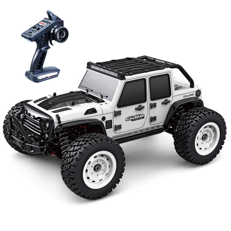 High Speed Remote Control RC Car 1:16