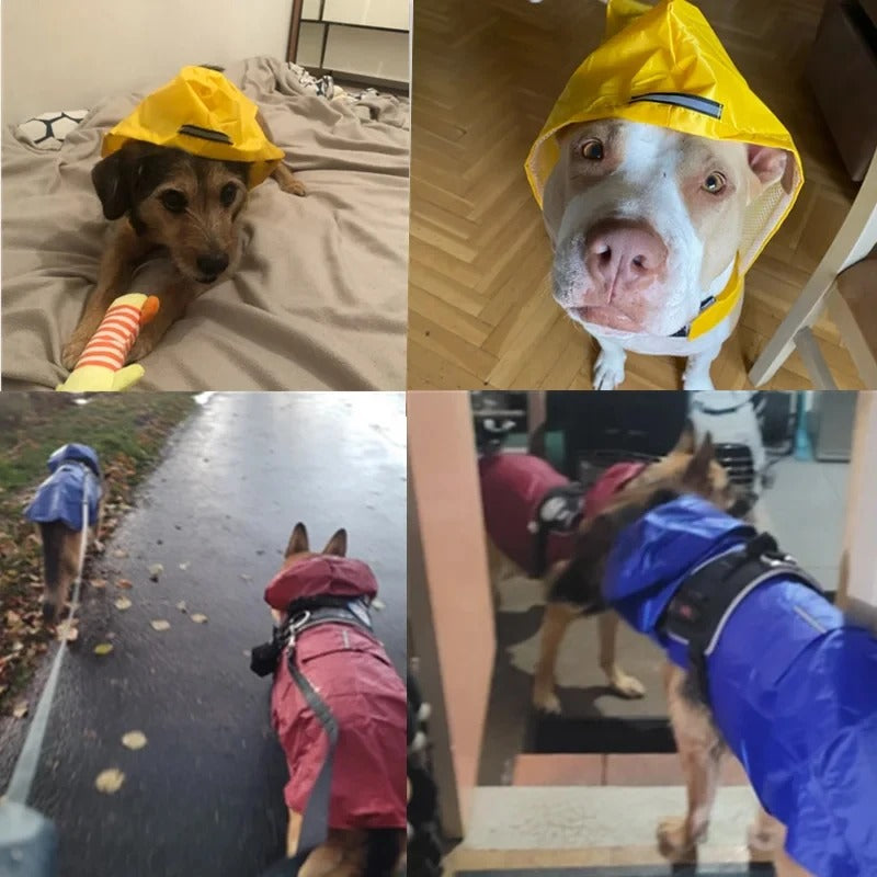 Pet Raincoat for Dogs & Cats