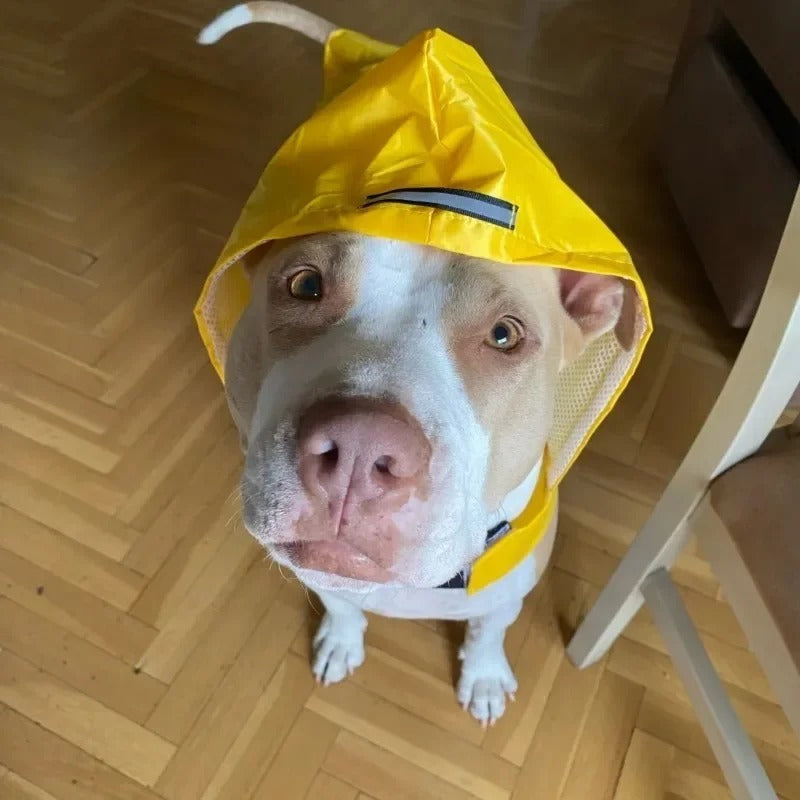 Pet Raincoat for Dogs & Cats
